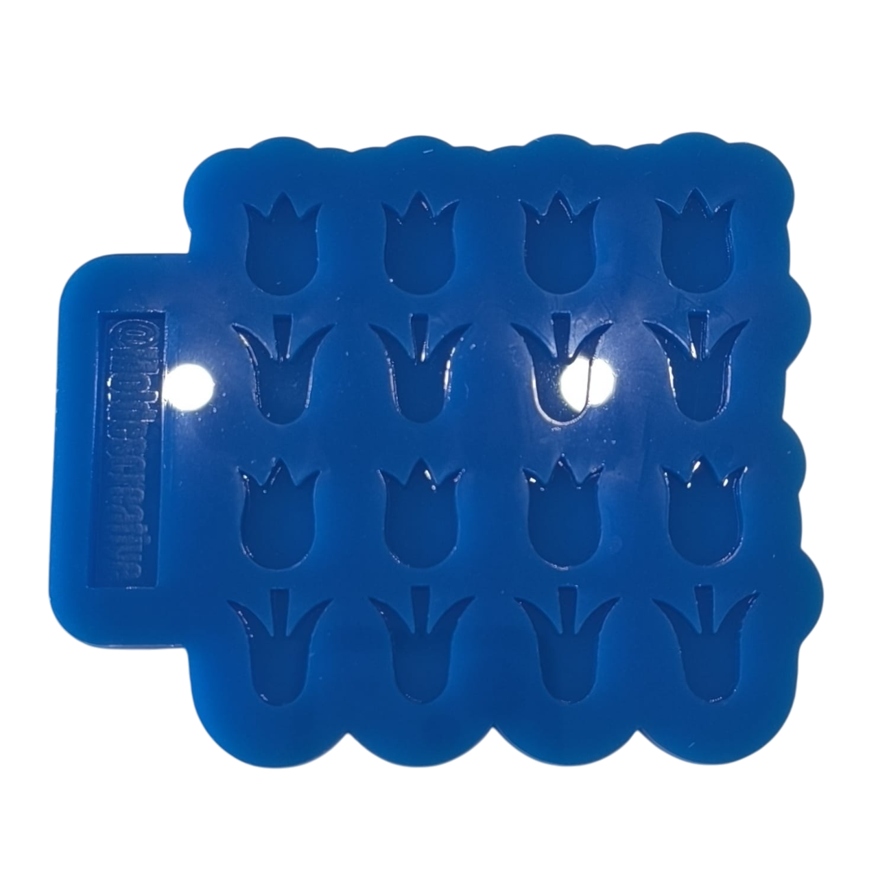 Molde Tulipan