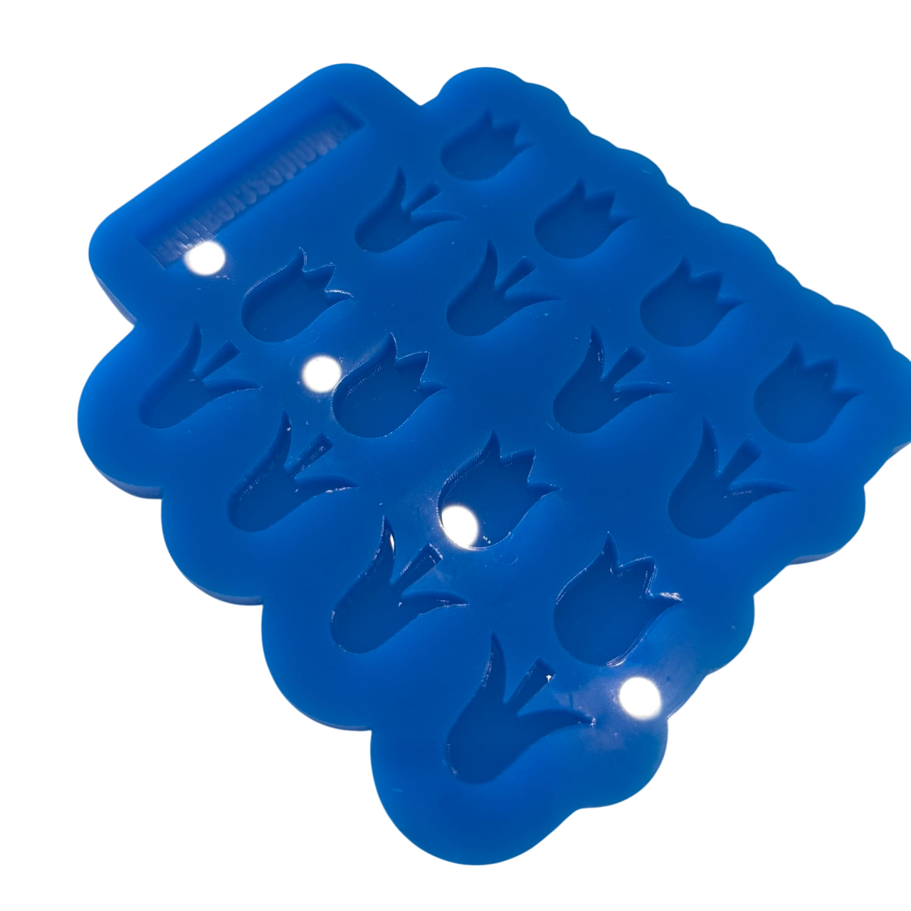Molde Tulipan